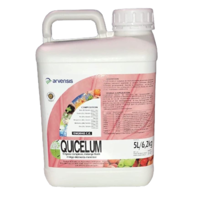 Quicelum